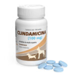 Clindamicina 100 mg Frasco 100 tabletas  tratamiento de enfermedades y problemas infecciosos Productos veterinarios  | Envios a toda Guatemala