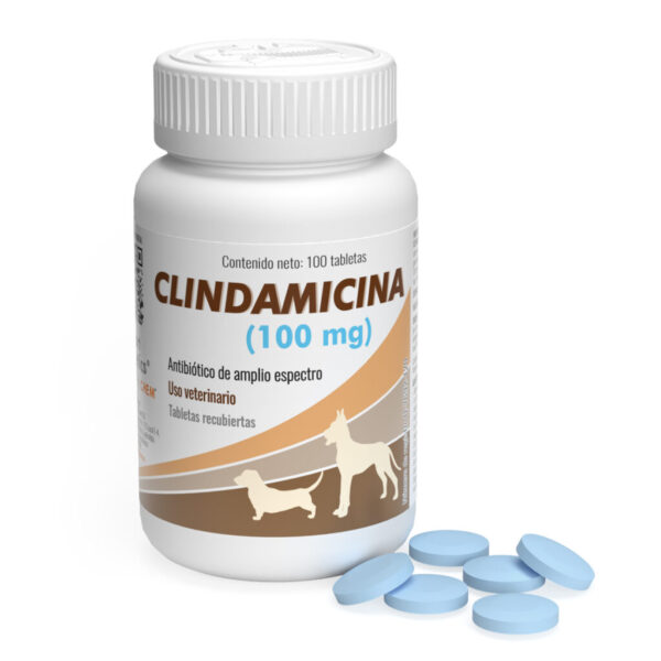 Clindamicina 100 mg Frasco 100 tabletas  tratamiento de enfermedades y problemas infecciosos Productos veterinarios  | Envios a toda Guatemala