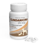 Clindamicina 50 mg Frasco 100 tabletas  tratamiento de enfermedades y problemas infecciosos Productos veterinarios  | Envios a toda Guatemala