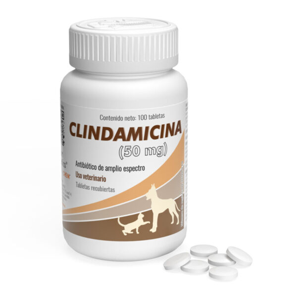 Clindamicina 50 mg Frasco 100 tabletas  tratamiento de enfermedades y problemas infecciosos Productos veterinarios  | Envios a toda Guatemala
