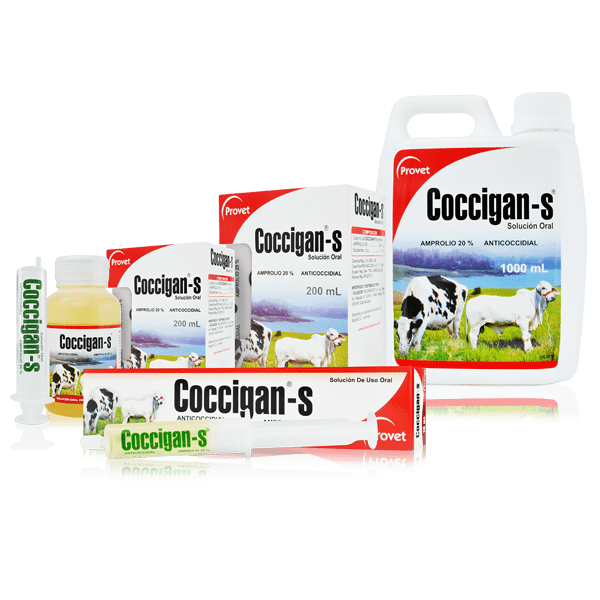 Coccigan Solución 200 ml Provet Anticoccidial Veterinario Productos veterinarios  | Envios a toda Guatemala
