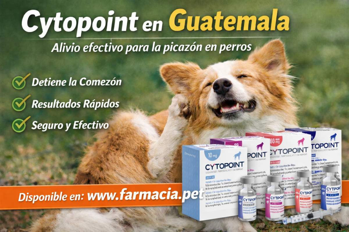 Cytopoint en Guatemala: Alivio efectivo contra la picazón en perros 🐶 Productos veterinarios Noticias veterinarias | Envios a toda Guatemala