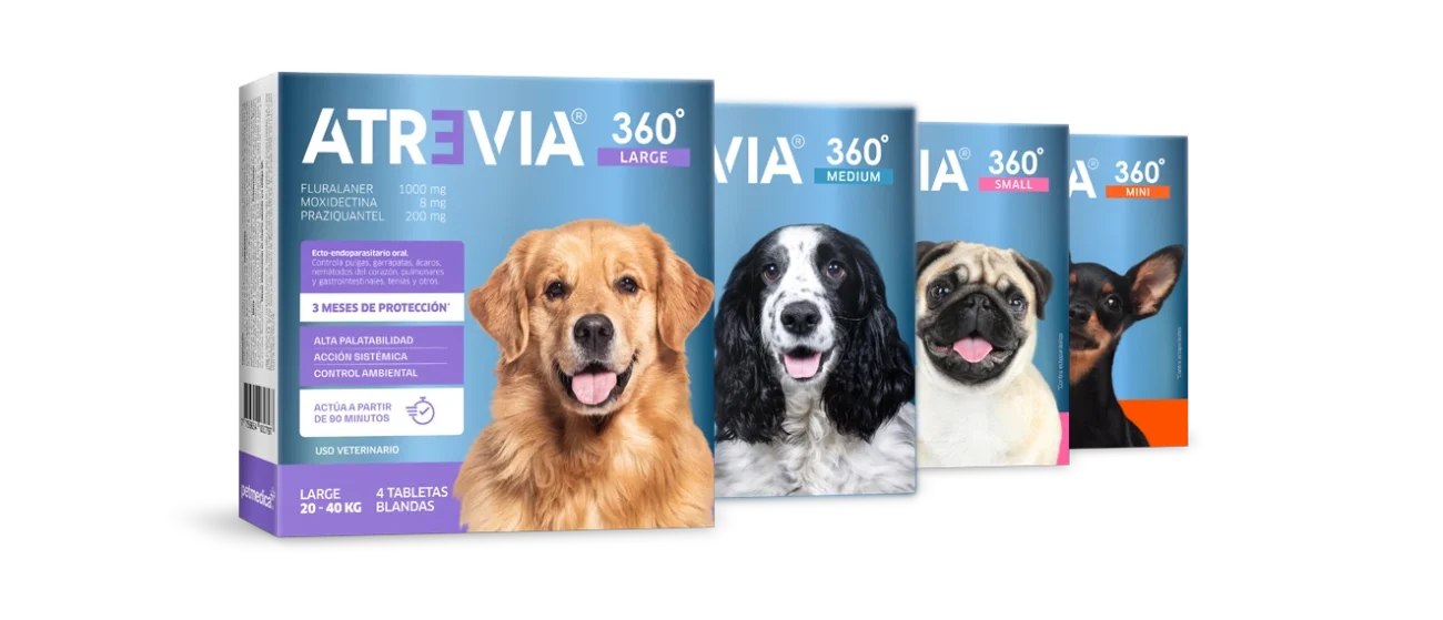 Atrevia 360 Guatemala Antiparasitario para Perros | Precio, Beneficios y Compra Online Productos veterinarios  | Envios a toda Guatemala