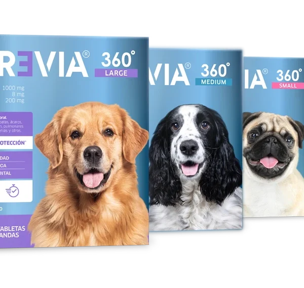 Atrevia 360 Guatemala Antiparasitario para Perros | Precio, Beneficios y Compra Online Productos veterinarios  | Envios a toda Guatemala
