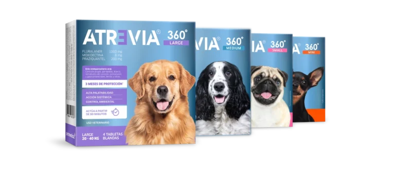Atrevia 360 Guatemala Antiparasitario para Perros | Precio, Beneficios y Compra Online Productos veterinarios  | Envios a toda Guatemala