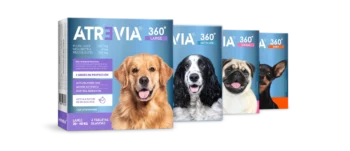 Atrevia 360 Guatemala Antiparasitario para Perros | Precio, Beneficios y Compra Online Productos veterinarios Sin categorizar | Envios a toda Guatemala