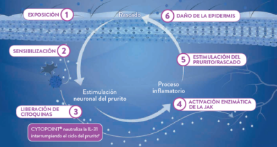 Cytopoint 10 mg 2 viales tratamiento de dermatitis alérgicas en perros Lokivetmab Productos veterinarios  | Envios a toda Guatemala