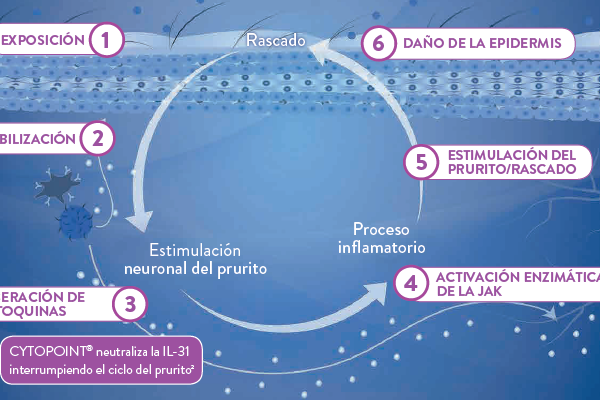 Cytopoint 10 mg 2 viales tratamiento de dermatitis alérgicas en perros Lokivetmab Productos veterinarios  | Envios a toda Guatemala