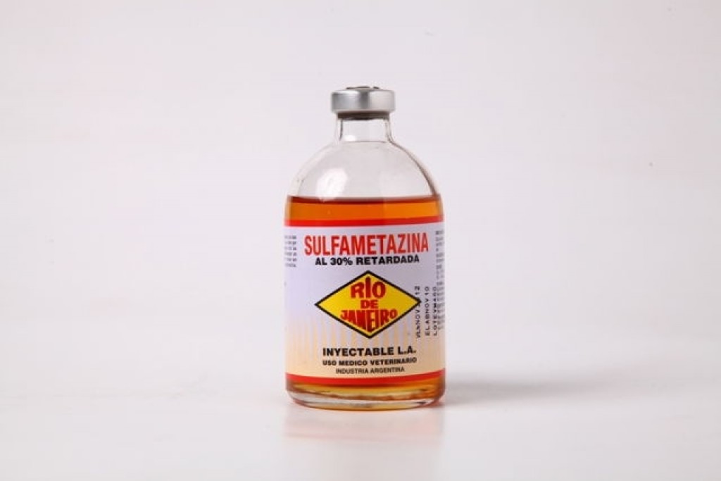 Sulfa-Melazina Laika 250 ml | Antibiótico Veterinario para Perros y Gatos | Farmacia.PET Sulfa-Melazina Laika 250 ml | Antibiótico Veterinario para Perros y Gatos Productos veterinarios Allignani | Envios a toda Guatemala