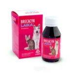 Brecacyn Laika Jarabe 100 ml | Antibiótico Veterinario para Perros y Gatos Productos veterinarios Allignani | Envios a toda Guatemala