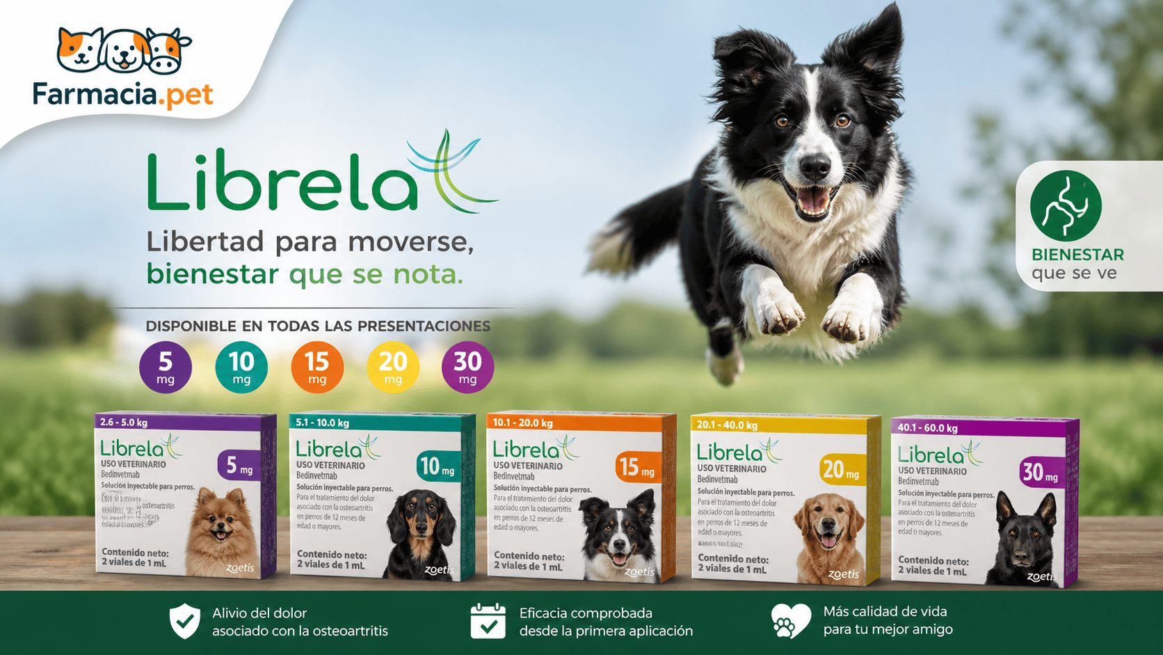 Productos veterinarios  | Envios a toda Guatemala