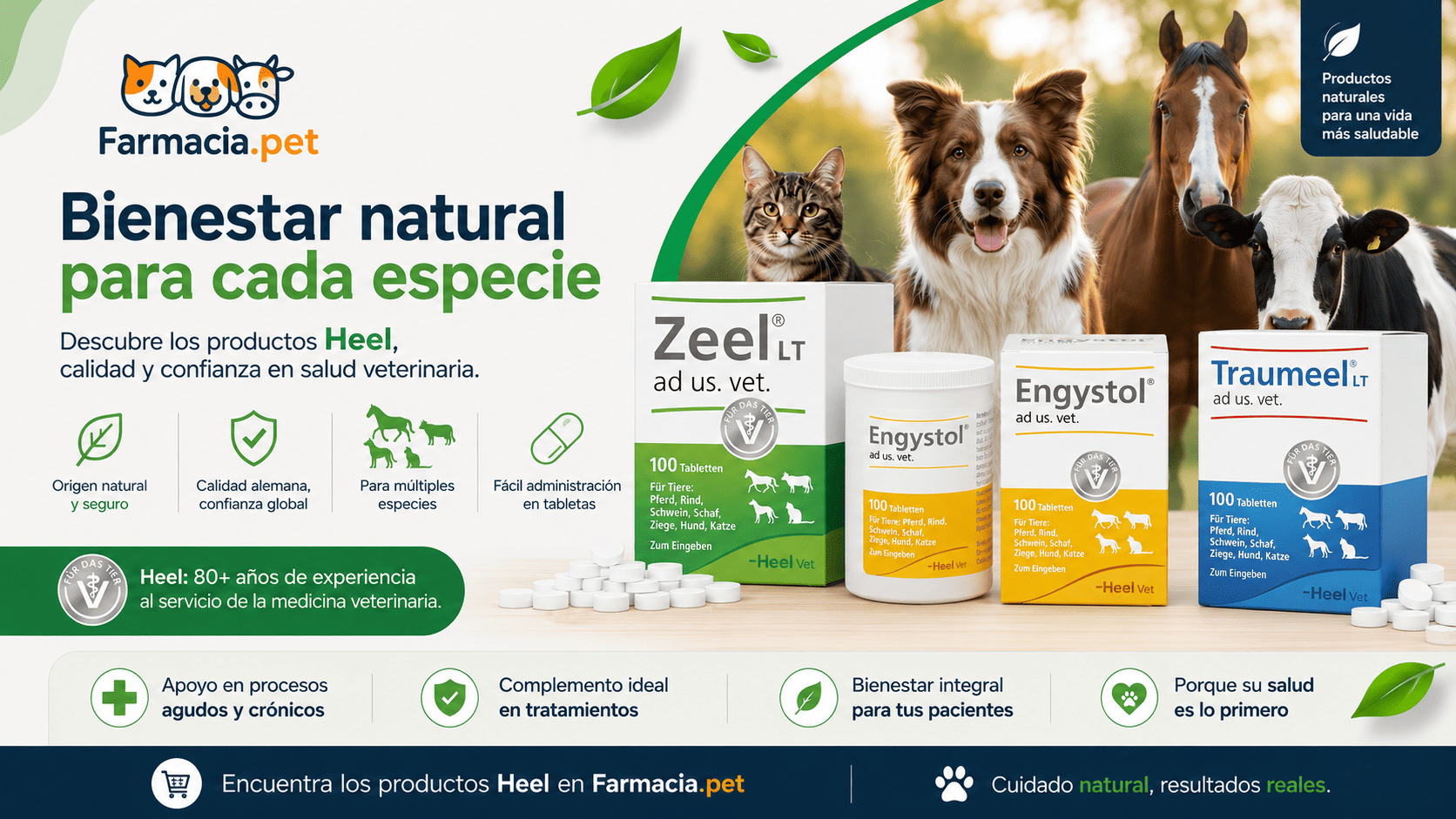 Productos veterinarios  | Envios a toda Guatemala