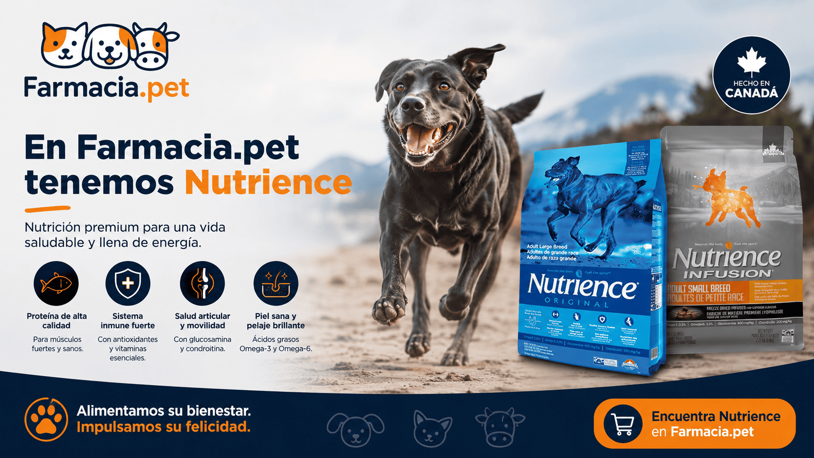 Productos veterinarios  | Envios a toda Guatemala