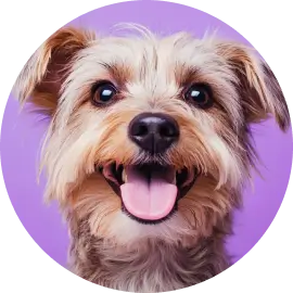 Farmacia Veterinaria en Guatemala | Medicamentos y Alimentos para Perros y Gatos Productos veterinarios  | Envios a toda Guatemala