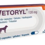 Vetoryl 120mg de Dechra para Perros | Tratamiento para Síndrome de Cushing Canino con Trilostano Productos veterinarios  | Envios a toda Guatemala
