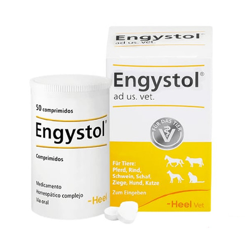 Engystol Vet de Heel: ¿Para qué sirve, cómo funciona y cuándo lo utilizan los médicos veterinarios? Productos veterinarios  | Envios a toda Guatemala