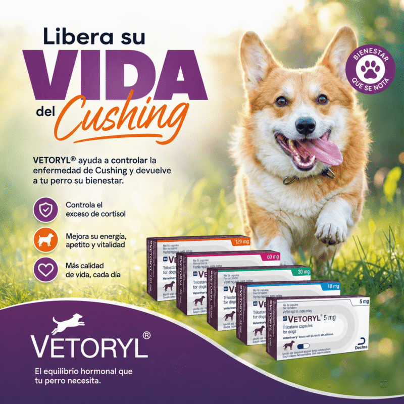 Farmacia Veterinaria en Guatemala | Medicamentos y Alimentos para Perros y Gatos Productos veterinarios  | Envios a toda Guatemala