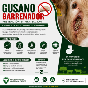 Gusano Barrenador en Guatemala: Cómo Proteger a Perros y Gatos Productos veterinarios Noticias veterinarias | Envios a toda Guatemala
