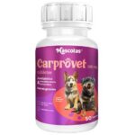 Carprovet 100 mg 50 tabletas Carprofeno - Dolor e inflamación en caninos Productos veterinarios  | Envios a toda Guatemala