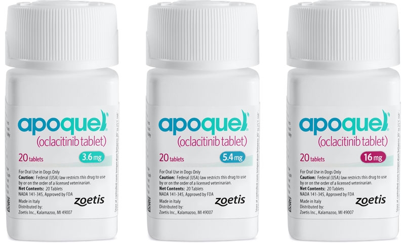 Apoquel tratamiento para picazon y dermatitis