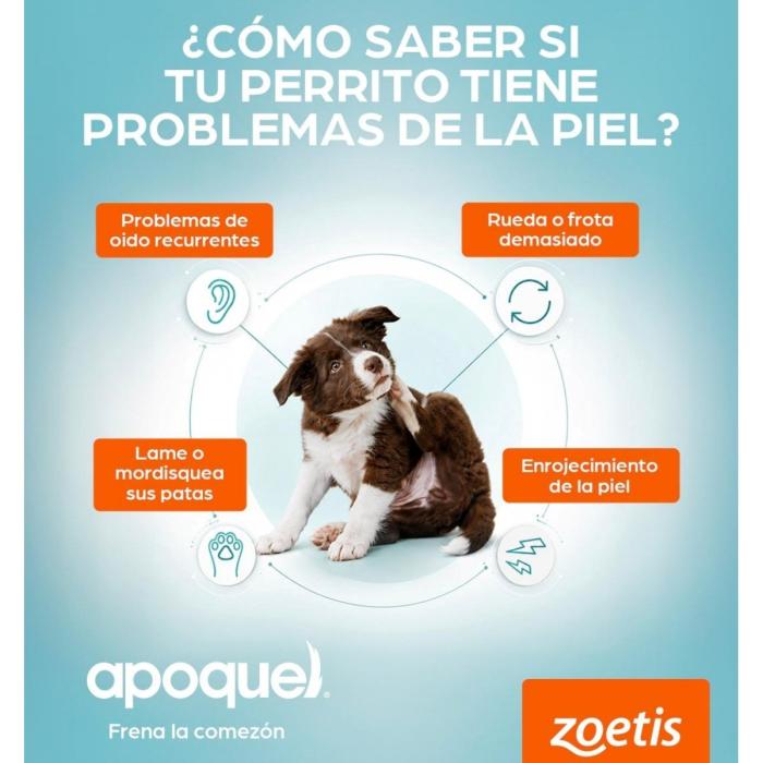 Apoquel caja original Zoetis