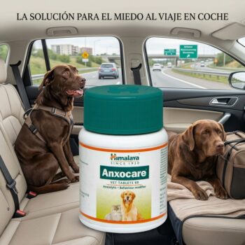Productos veterinarios  | Envios a toda Guatemala