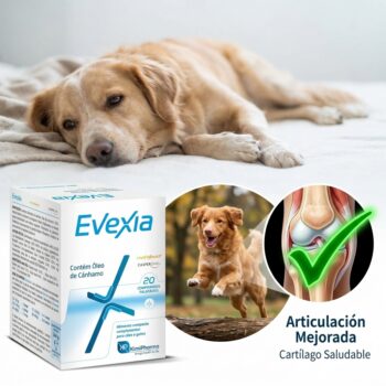 Productos veterinarios  | Envios a toda Guatemala