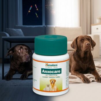 Productos veterinarios  | Envios a toda Guatemala