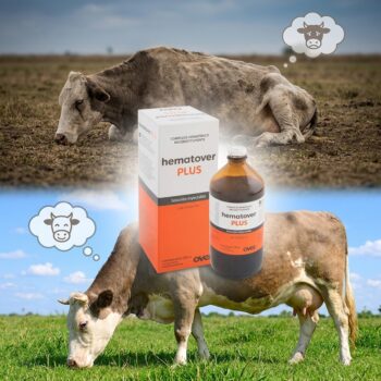 Productos veterinarios  | Envios a toda Guatemala