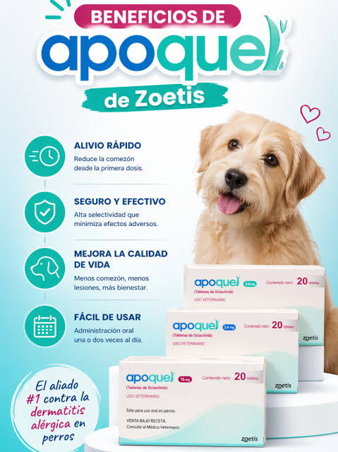 Apoquel Zoetis dosis y uso en perros